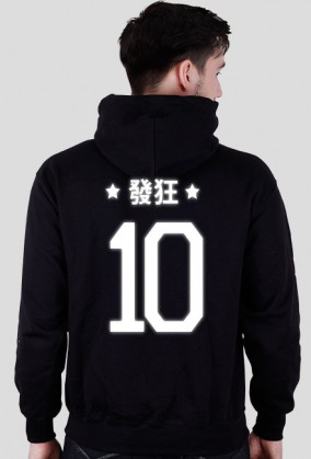 Big Ten Hoodie