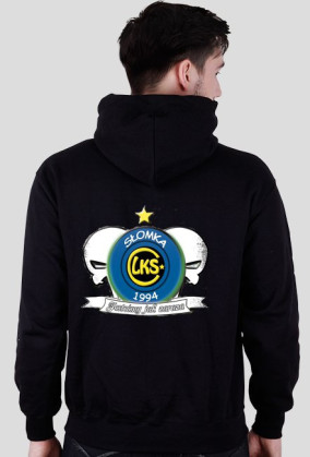 bluza