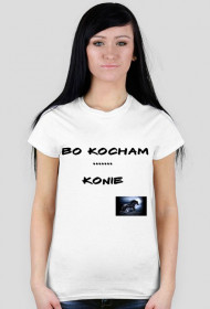 DLA MIŁOSNICZEK KONI