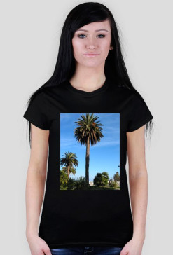 palm
