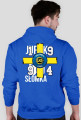 bluza