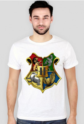 Harry Potter Hogwarts 001 Męska koszulka