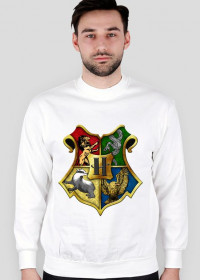 Harry Potter Hogwarts 004 Męska bluza