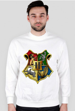 Harry Potter Hogwarts 004 Męska bluza