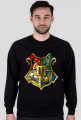 Harry Potter Hogwarts 004 Męska bluza