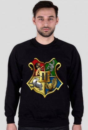 Harry Potter Hogwarts 004 Męska bluza