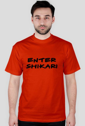enter shikari