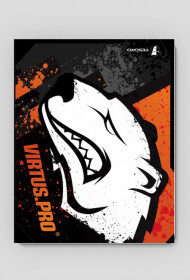Virtus.pro