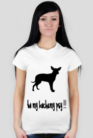Koszulka - Bo my kochamy psy