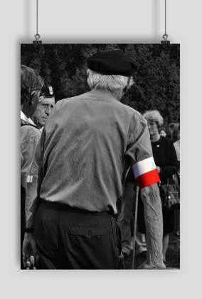 Plakat - Polska