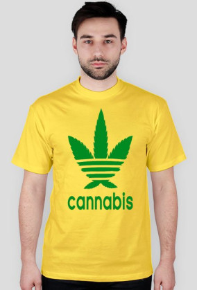 canabis żółta