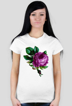 Magenta rose