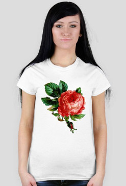 Red rose