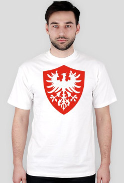 POWSTANIE WIELKOPOLSKIE
