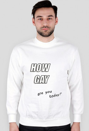 How Gay 2