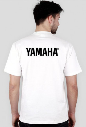 yamaha v6