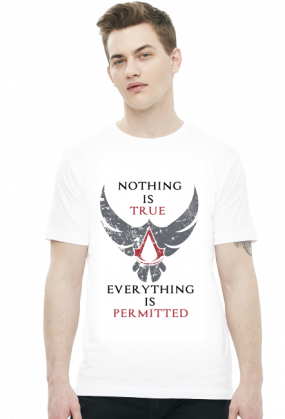 Nothing is true, everything is permitted