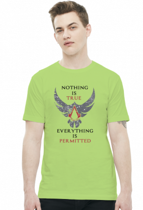 Nothing is true, everything is permitted