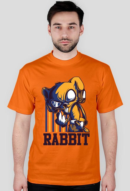 Rabbit