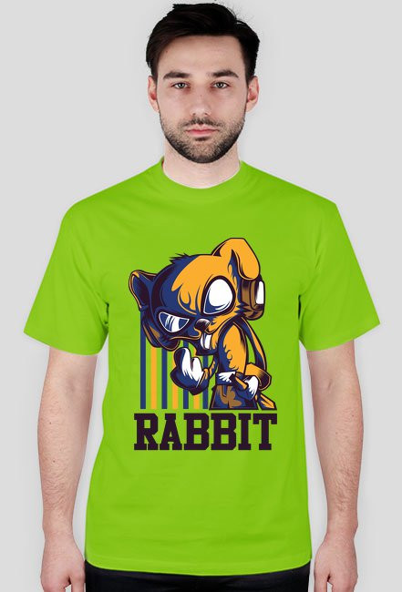 Rabbit
