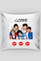 One Direction~cushion