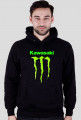 Kawasaki - CzerwionkaLeszczyny