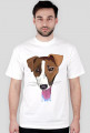 Pieskie Życie- Jack Russel
