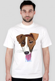 Pieskie Życie- Jack Russel