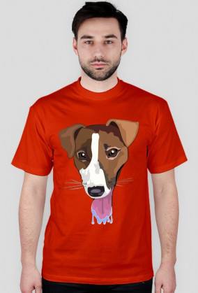 Pieskie Życie- Jack Russel