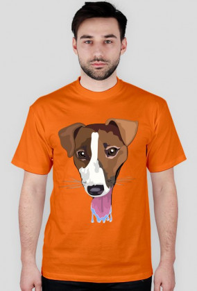 Pieskie Życie- Jack Russel