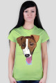 Pieskie Życie- Jack Russel