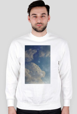 bluza