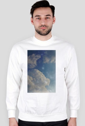 bluza