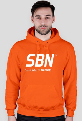 SBN LOGO