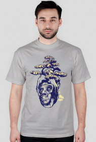 design_01
