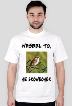 Wróbel