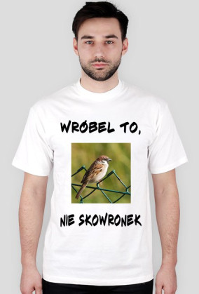 Wróbel