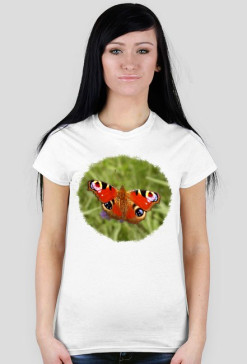 Motyl