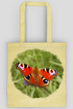 Motyl
