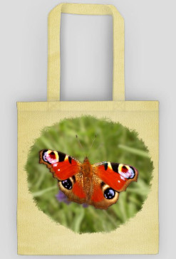 Motyl
