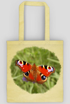 Motyl