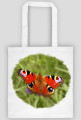 Motyl