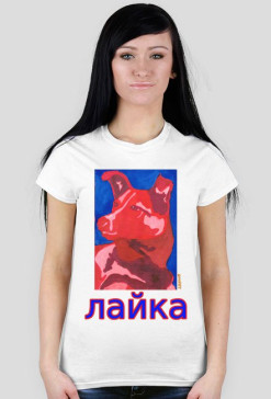 Łajka