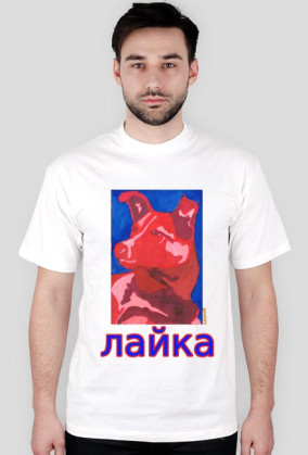 Łajka