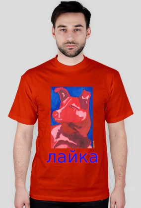 Łajka