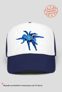 Spider Metalica