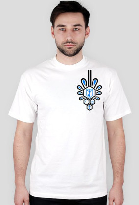 Ingress Podhale Chycek