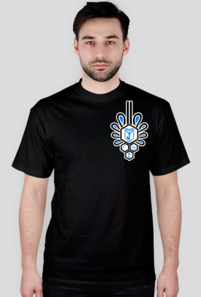 Ingress Podhale Chycek