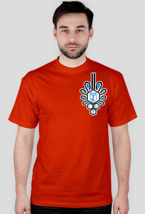 Ingress Podhale Chycek