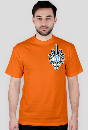 Ingress Podhale Chycek